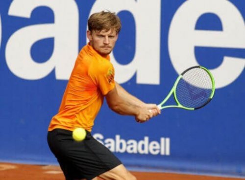 David Goffin: En samlet set fantastisk tennisspiller