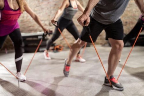 Fitnesshold bruger også elastikker