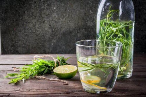 vand med estragon og citron