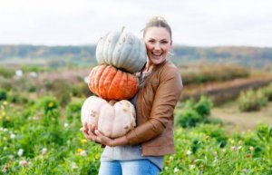 Opskrifter med græskar