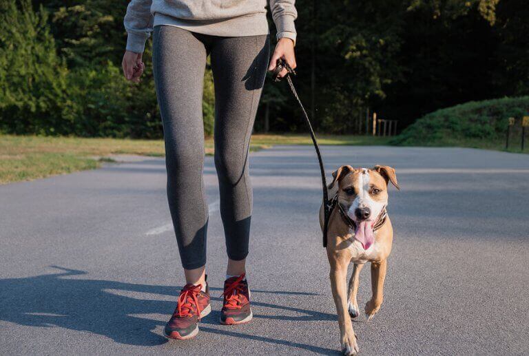 kvinde der går tur med hund
