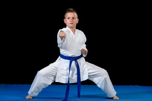 Shidokan: En kampsport for sindet og kroppen