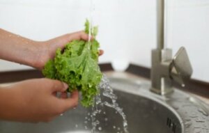 Hvad er de forskellige typer af salat?