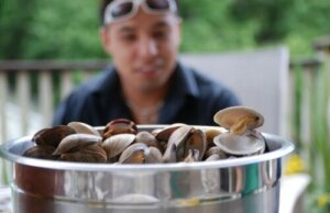 Vitamin B: opdag fordelene ved et dagligt indtag