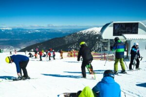 Lovmæssige krav til en skipark