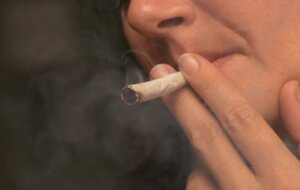 Effekterne af marihuana på kroppen