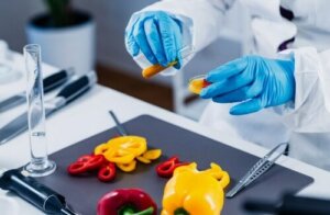 Genetisk modificerede fødevarer: Fordele og ulemper