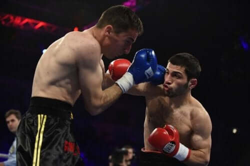 Boksere har et civilretligt ansvar